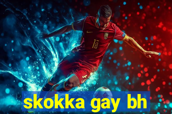 skokka gay bh